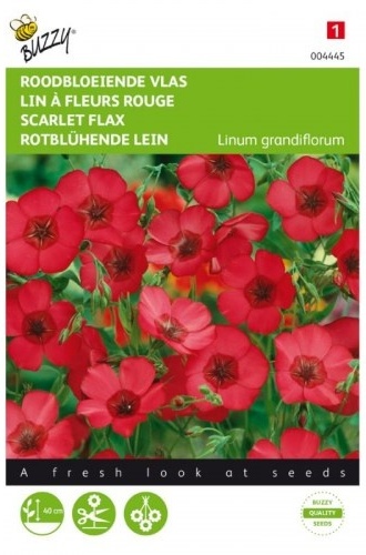 Linum grandiflorum Scarlet Flax, Ľan cca 1,5 g